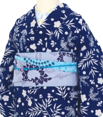 Examples of rental kimono Cool