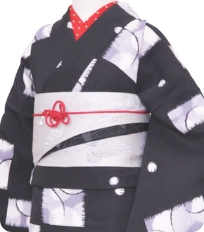 Examples of rental kimono Cool