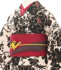 Examples of rental kimono Cool