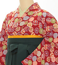 当日振袖プラン一例