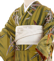 Examples of rental kimonos