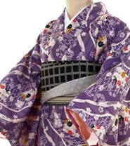 Examples of rental kimonos