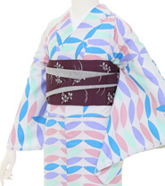 Examples of rental kimonos