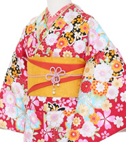 Examples of Small Size Kimonos (150 cm or shorter)