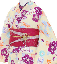 Examples of Tall & Wide Size Kimonos