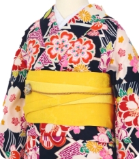 Examples of Tall & Wide Size Kimonos